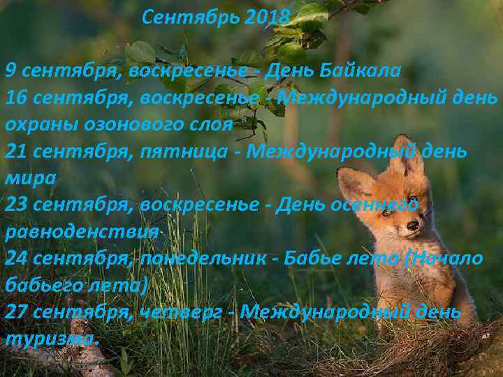 Сентябрь 2018 9 сентября, воскресенье - День Байкала 16 сентября, воскресенье - Международный день