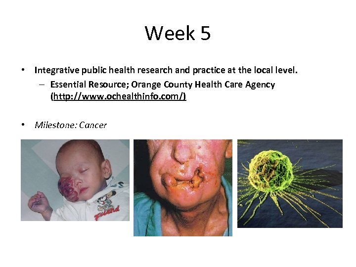 Week 5 • Integrative public health research and practice at the local level. –