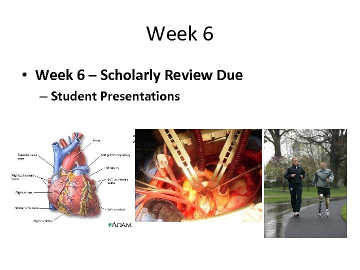 Week 6 • Week 6 – Scholarly Review Due – Student Presentations • Milestone: