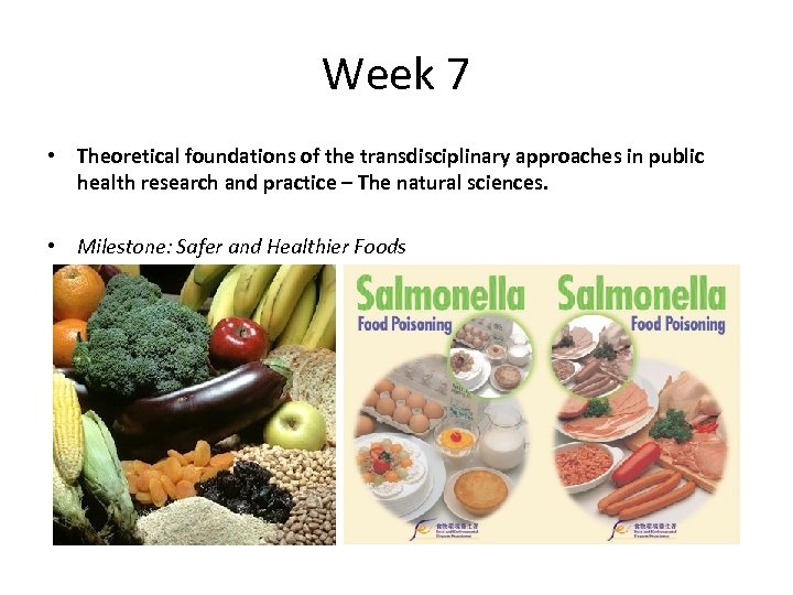 Week 7 • Theoretical foundations of the transdisciplinary approaches in public health research and