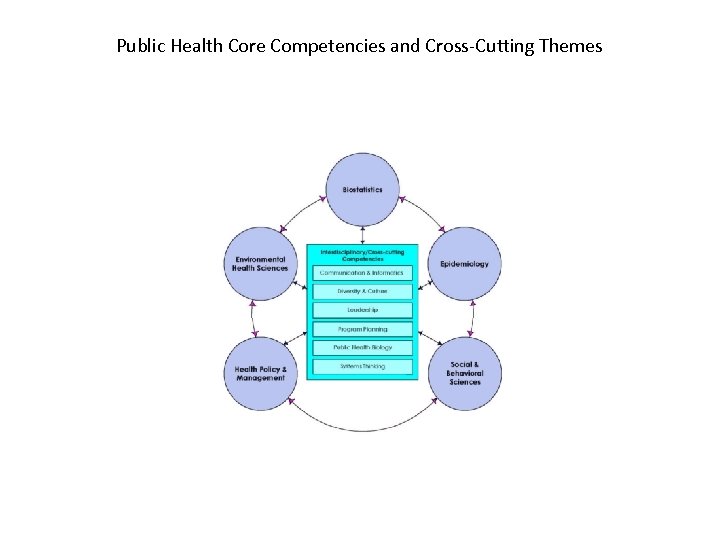 Public Health Core Competencies and Cross‐Cutting Themes 