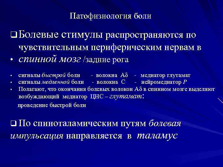 Патофизиология боли q Болевые стимулы распространяются по чувствительным периферическим нервам в • спинной мозг
