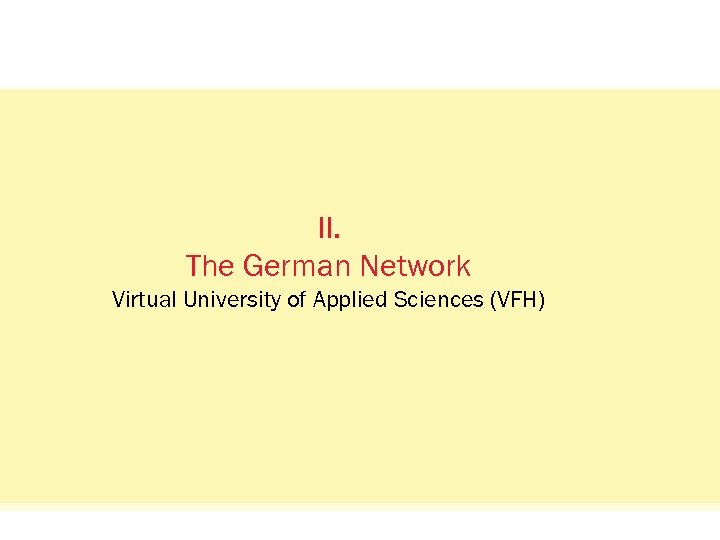 Status Quo: Das Netzwerkvisual. II. The German Network Virtual University of Applied Sciences (VFH)