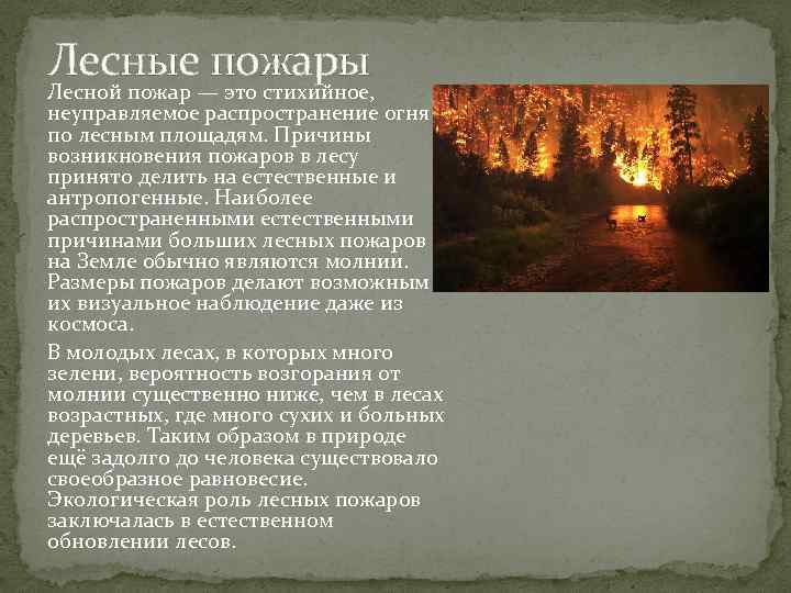 Лесные пожары Лесной пожар — это стихийное, неуправляемое распространение огня по лесным площадям. Причины