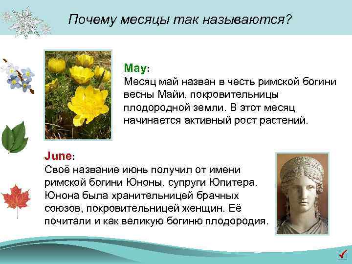 Почему месяцы так называются? May: Месяц май назван в честь римской богини весны Майи,