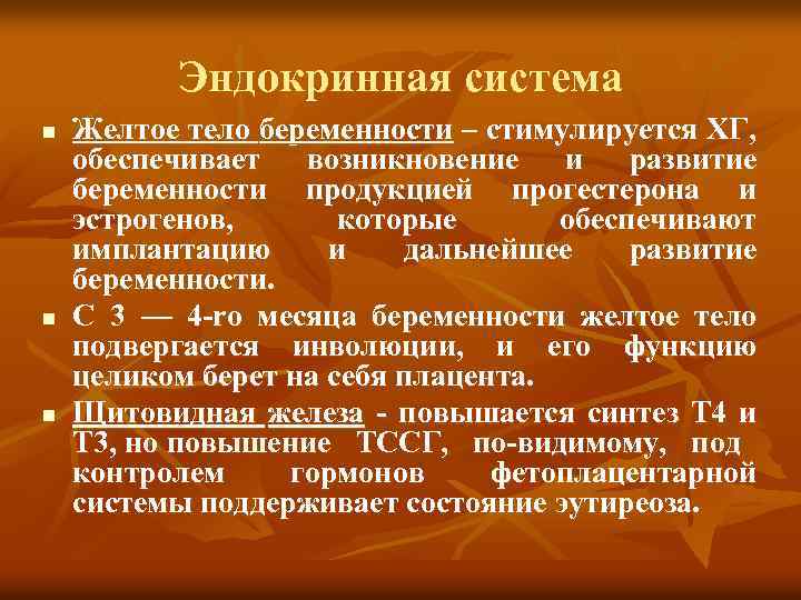 Эндокринная система n n n Желтое тело беременности – стимулируется ХГ, обеспечивает возникновение и