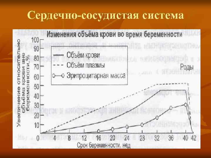 Сердечно-сосудистая система 