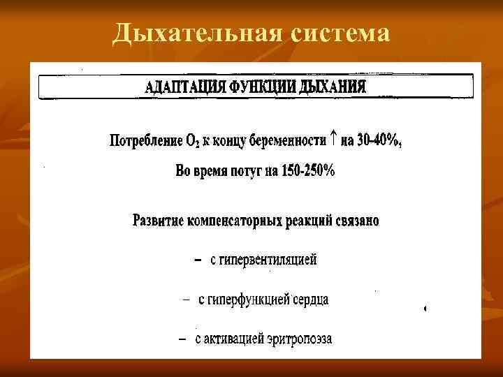 Дыхательная система 