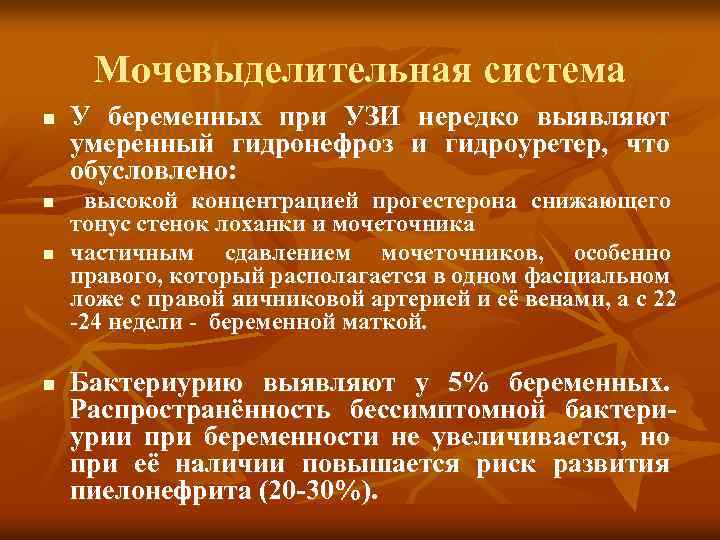 Мочевыделительная система n n У беременных при УЗИ нередко выявляют умеренный гидронефроз и гидроуретер,