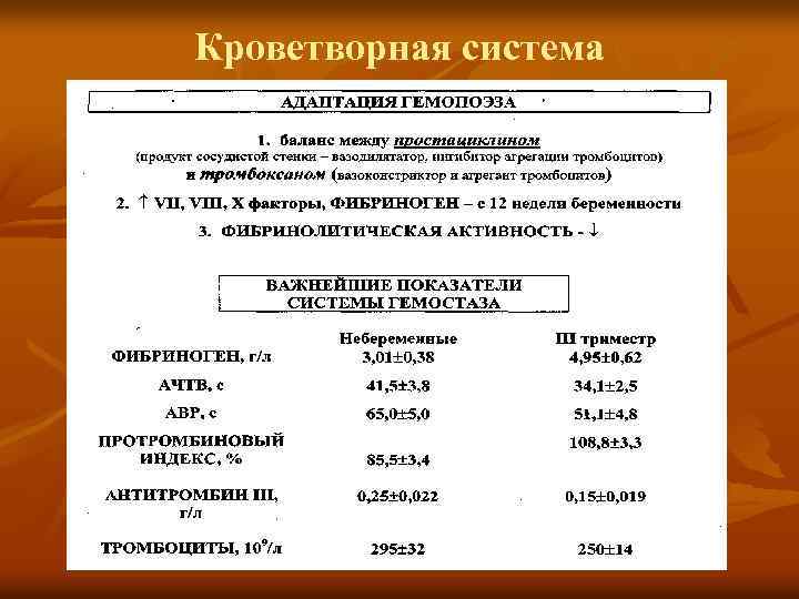 Кроветворная система 