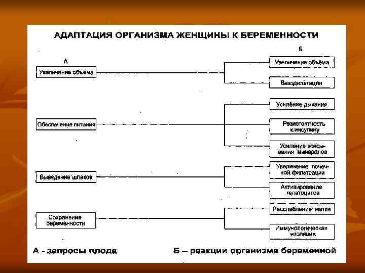 Беременность схема