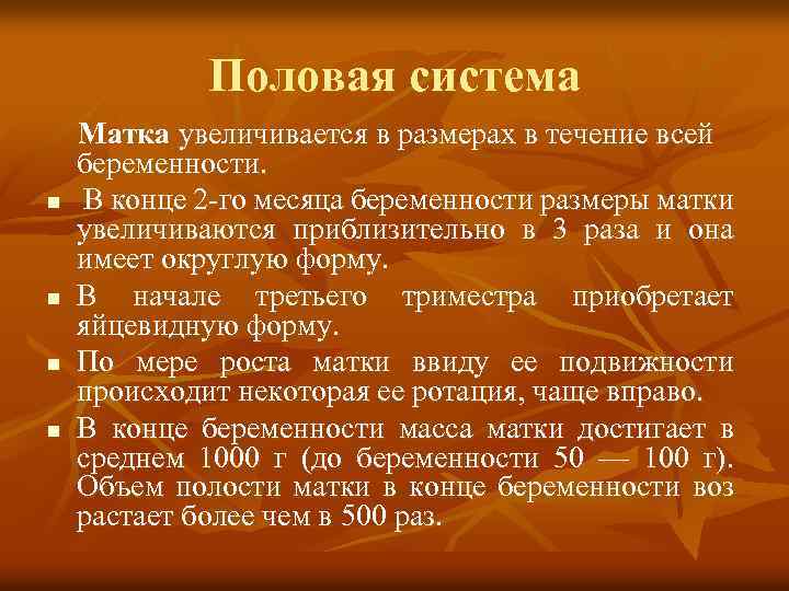 Половая система n n Матка увеличивается в размерах в течение всей беременности. В конце