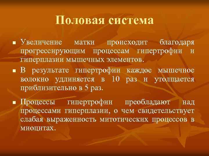 Половая система n n n Увеличение матки происходит благодаря прогрессирующим процессам гипертрофии и гиперплазии