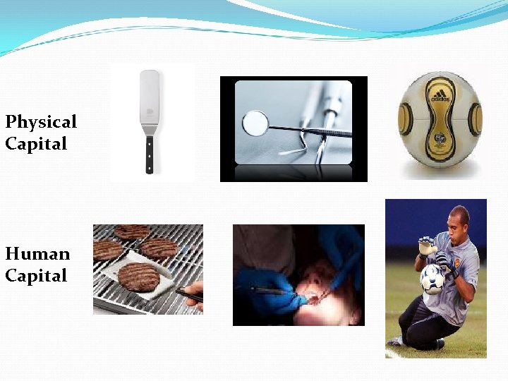 Physical Capital Human Capital 