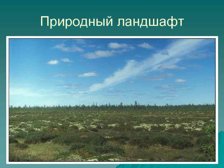 Природный ландшафт 