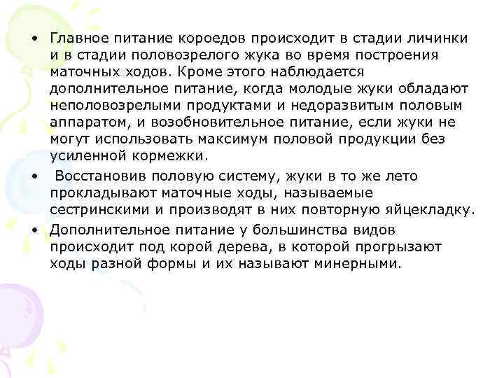  • Главное питание короедов происходит в стадии личинки и в стадии половозрелого жука