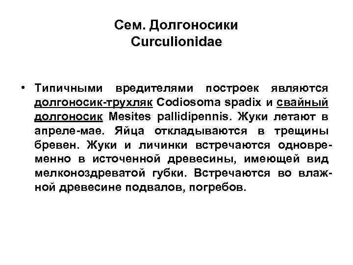 Сем. Долгоносики Curculionidae • Типичными вредителями построек являются долгоносик-трухляк Codiosoma spadix и свайный долгоносик