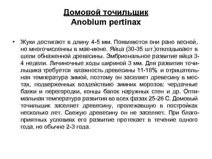Домовой точильщик Anobium pertinax • Жуки достигают в длину 4 -5 мм. Появляются они