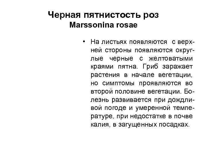 Черная пятнистость роз Marssonina rosae • На листьях появляются с верхней стороны появляются округлые