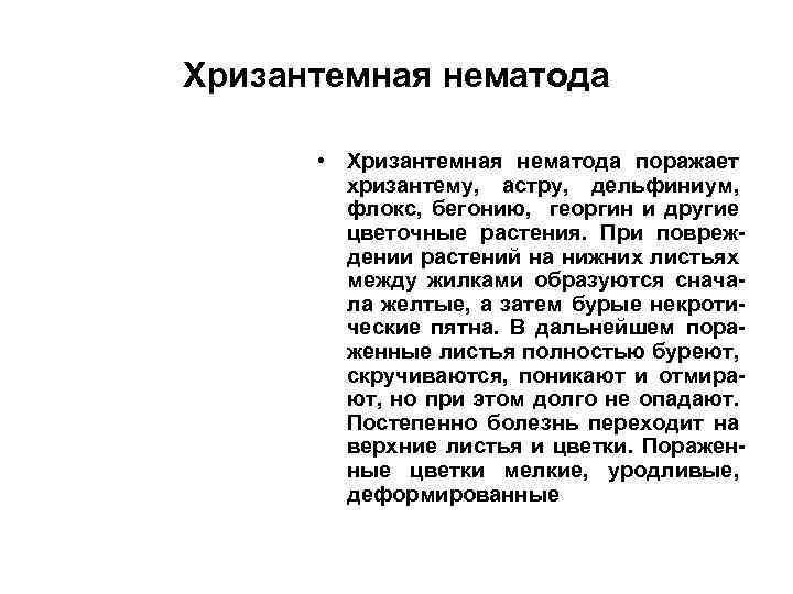 Хризантемная нематода • Хризантемная нематода поражает хризантему, астру, дельфиниум, флокс, бегонию, георгин и другие