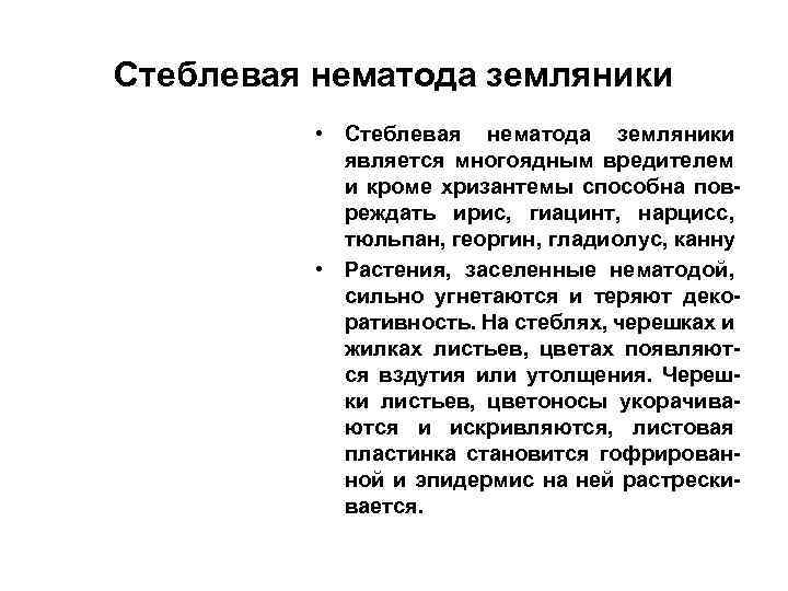 Стеблевая нематода земляники • Стеблевая нематода земляники является многоядным вредителем и кроме хризантемы способна