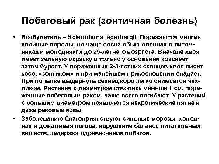 Побеговый рак (зонтичная болезнь) • Возбудитель – Scleroderris lagerbergii. Поражаются многие хвойные породы, но