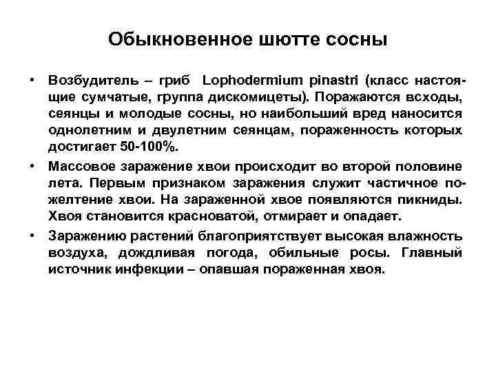 Обыкновенное шютте сосны • Возбудитель – гриб Lophodermium pinastri (класс настоящие сумчатые, группа дискомицеты).