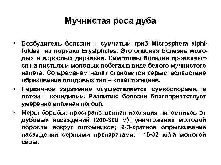 Мучнистая роса дуба • Возбудитель болезни – сумчатый гриб Microsphera alphitoides из порядка Erysiphales.