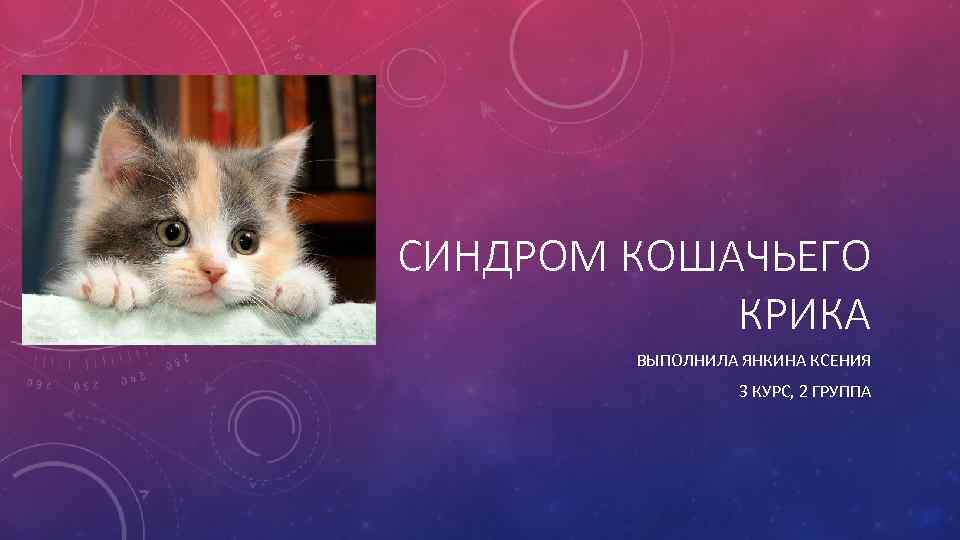 СИНДРОМ КОШАЧЬЕГО КРИКА ВЫПОЛНИЛА ЯНКИНА КСЕНИЯ 3 КУРС, 2 ГРУППА 