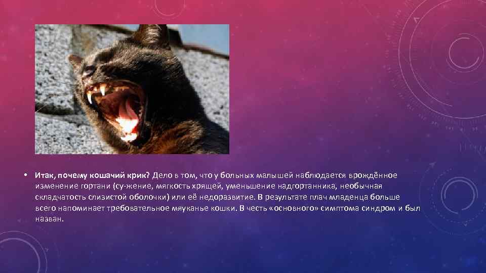  • Итак, почему кошачий крик? Дело в том, что у больных малышей наблюдается