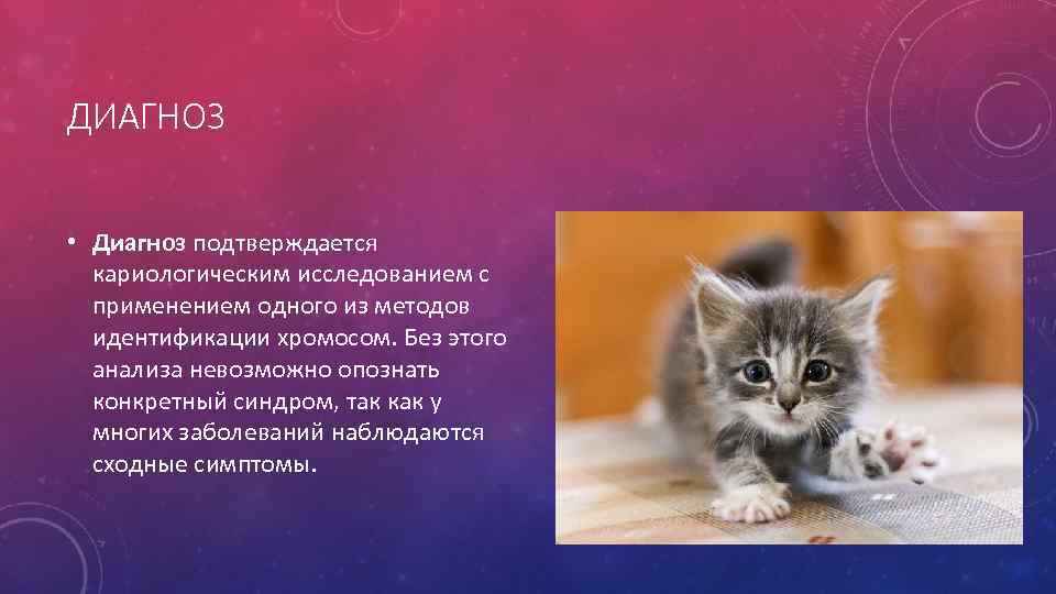 ДИАГНОЗ • Диагноз подтверждается кариологическим исследованием с применением одного из методов идентификации хромосом. Без