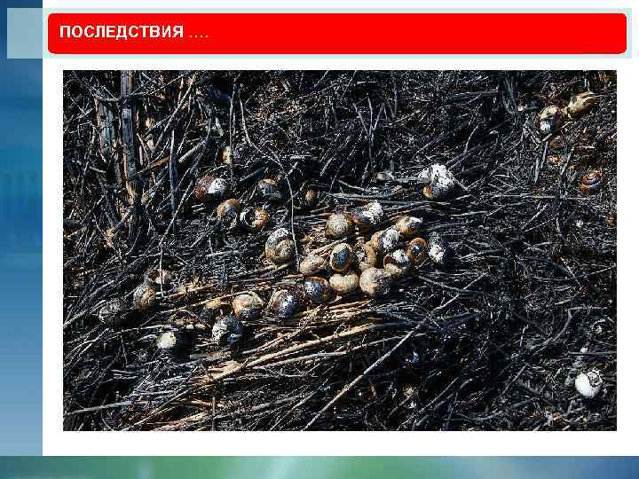 ПОСЛЕДСТВИЯ …. 