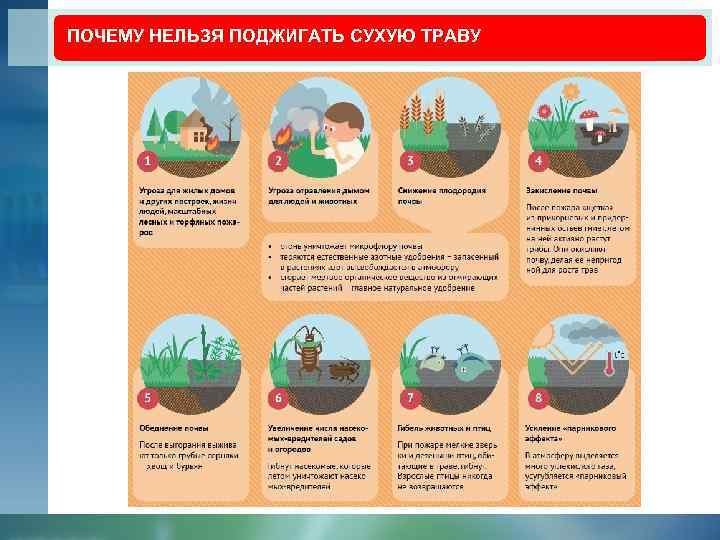 ПОЧЕМУ НЕЛЬЗЯ ПОДЖИГАТЬ СУХУЮ ТРАВУ 