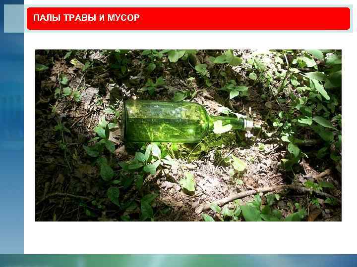 ПАЛЫ ТРАВЫ И МУСОР 