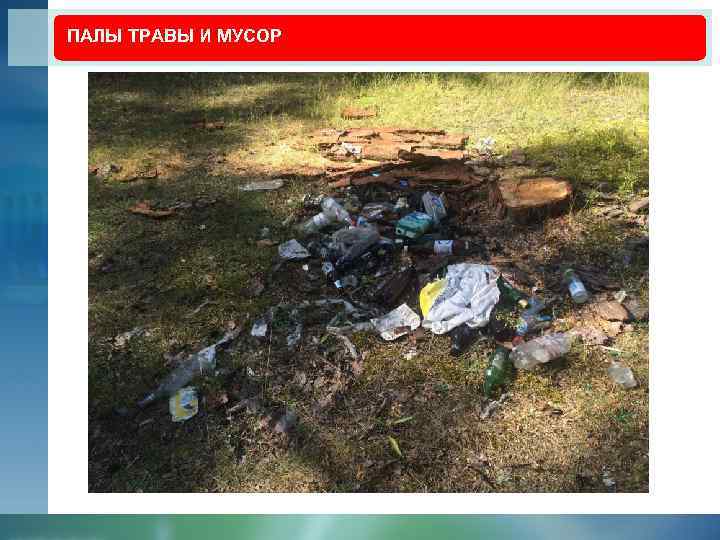 ПАЛЫ ТРАВЫ И МУСОР 