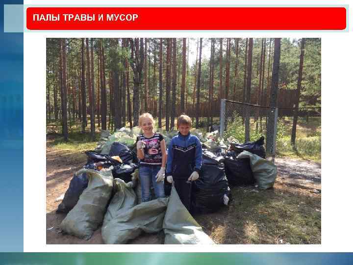 ПАЛЫ ТРАВЫ И МУСОР 