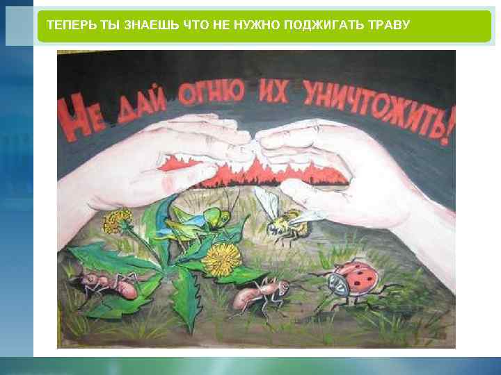 ТЕПЕРЬ ТЫ ЗНАЕШЬ ЧТО НЕ НУЖНО ПОДЖИГАТЬ ТРАВУ 