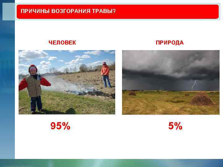 ПРИЧИНЫ ВОЗГОРАНИЯ ТРАВЫ? ЧЕЛОВЕК 95% ПРИРОДА 5% 