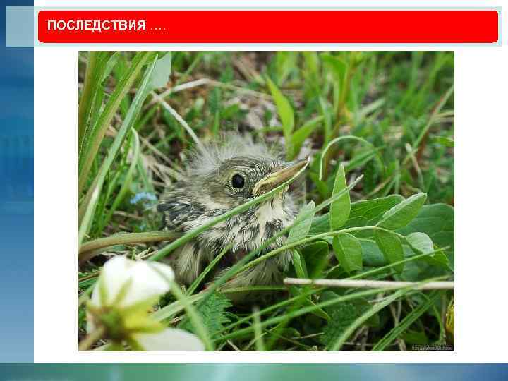 ПОСЛЕДСТВИЯ …. 