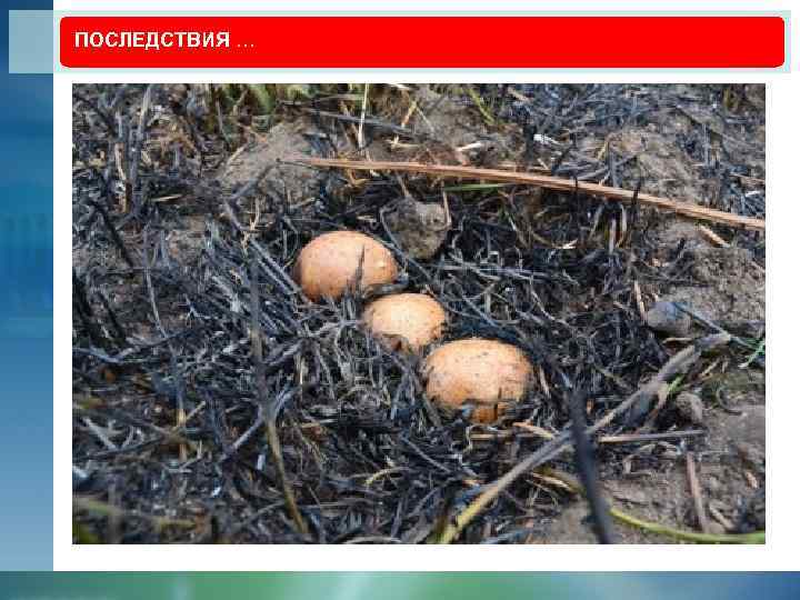 ПОСЛЕДСТВИЯ … 