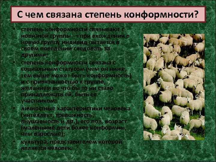 С чем связана степень конформности? • степень конформности связывают с новизной группы — при