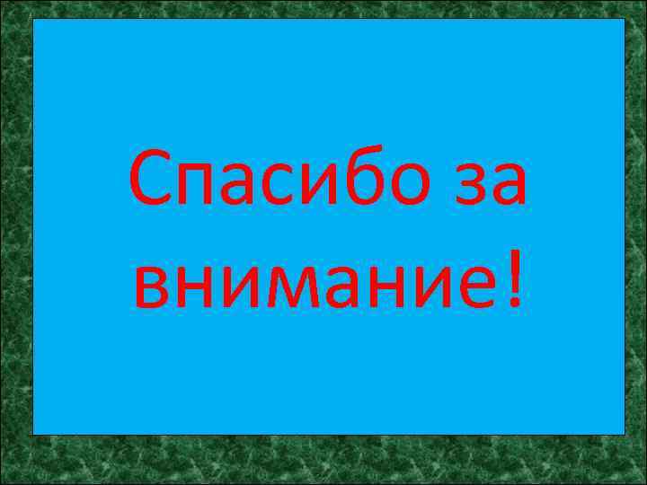 Спасибо за внимание! 