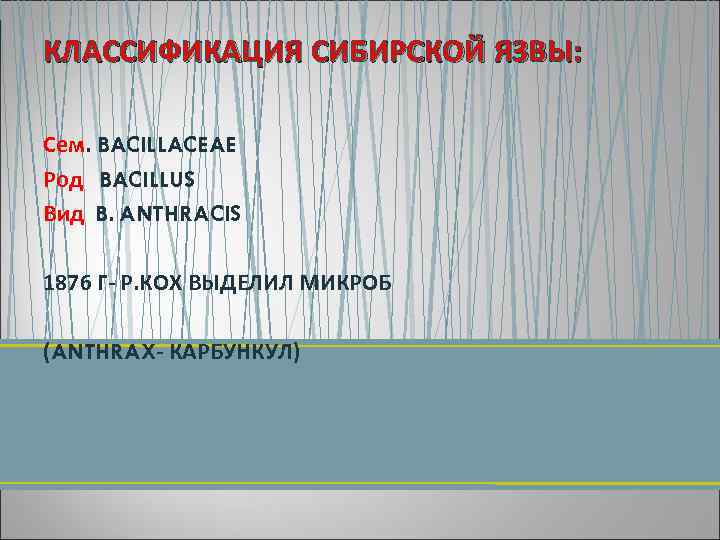 КЛАССИФИКАЦИЯ СИБИРСКОЙ ЯЗВЫ: Сем. BACILLACEAE Род BACILLUS Вид B. ANTHRACIS 1876 Г Р. КОХ
