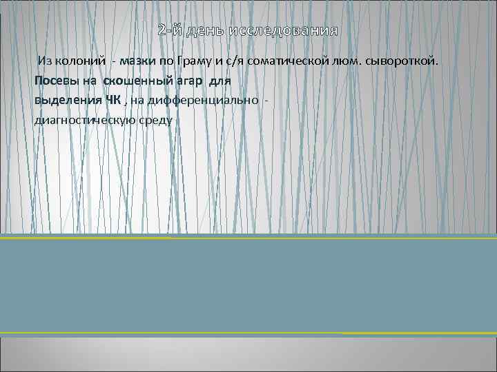 2 й день исследования Из колоний мазки по Граму и с/я соматической люм. сывороткой.