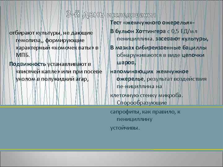 3 й день исследования отбирают культуры, не дающие гемолиза, , формирующие характерный «комочек ваты»