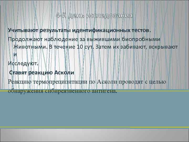 4 й день исследования Учитывают результаты идентификационных тестов. Продолжают наблюдение за выжившими биопробными Животными.