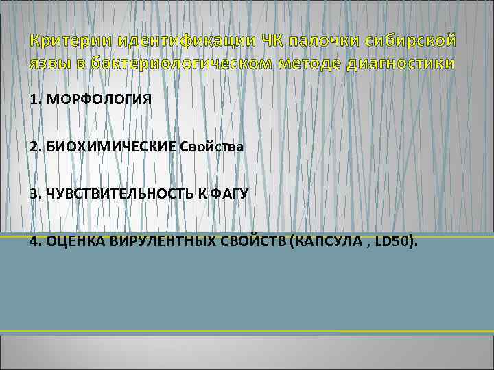 Критерии идентификации ЧК палочки сибирской язвы в бактериологическом методе диагностики 1. МОРФОЛОГИЯ 2. БИОХИМИЧЕСКИЕ