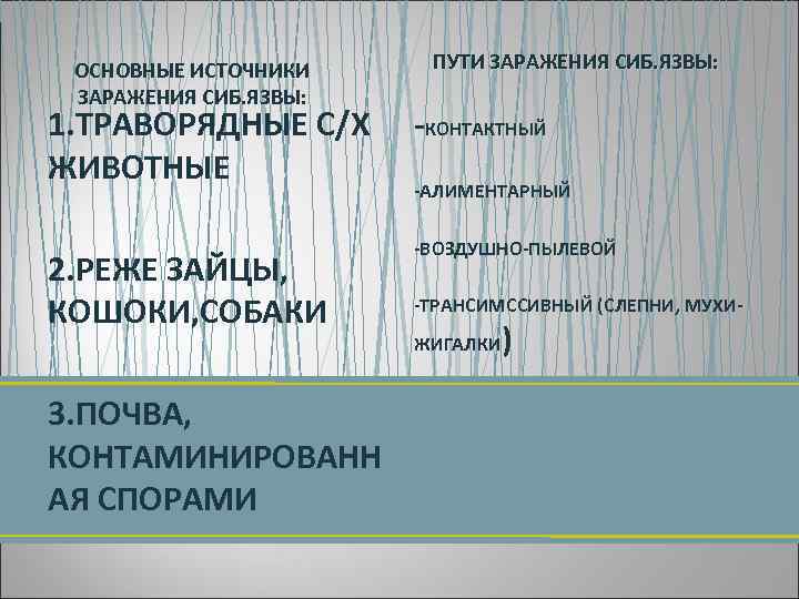 ОСНОВНЫЕ ИСТОЧНИКИ ЗАРАЖЕНИЯ СИБ. ЯЗВЫ: 1. ТРАВОРЯДНЫЕ С/Х ЖИВОТНЫЕ 2. РЕЖЕ ЗАЙЦЫ, КОШОКИ, СОБАКИ
