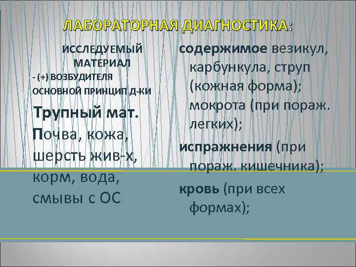 ЛАБОРАТОРНАЯ ДИАГНОСТИКА: ИССЛЕДУЕМЫЙ содержимое везикул, МАТЕРИАЛ карбункула, струп • (+) ВОЗБУДИТЕЛЯ (кожная форма); •