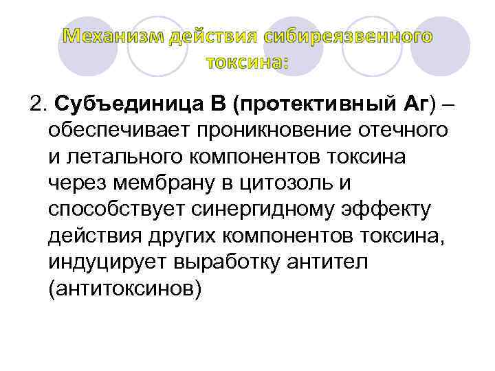 2. Субъединица В (протективный Аг) – обеспечивает проникновение отечного и летального компонентов токсина через